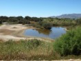 /album/photo-gallery-photogallery/looking-from-the-fourth-hide-at-rio-guadalhorce-malaga-jpg/